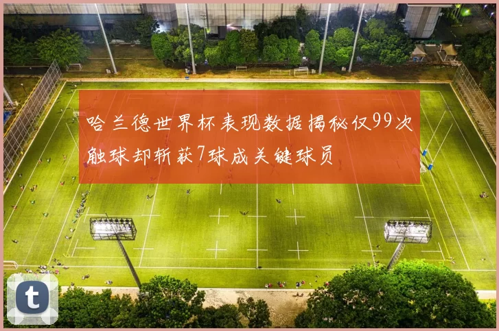 哈兰德世界杯表现数据揭秘仅99次触球却斩获7球成关键球员